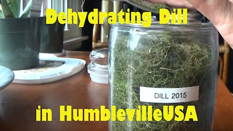 DEHYDRATION: Humbleville Dehydrating Dill in Dehydrator and Solar Oven 2015