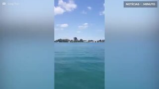 Hidroplano decola e se acidenta em Detroit