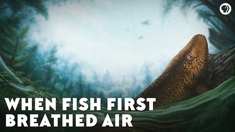 When Fish First Breathed Air