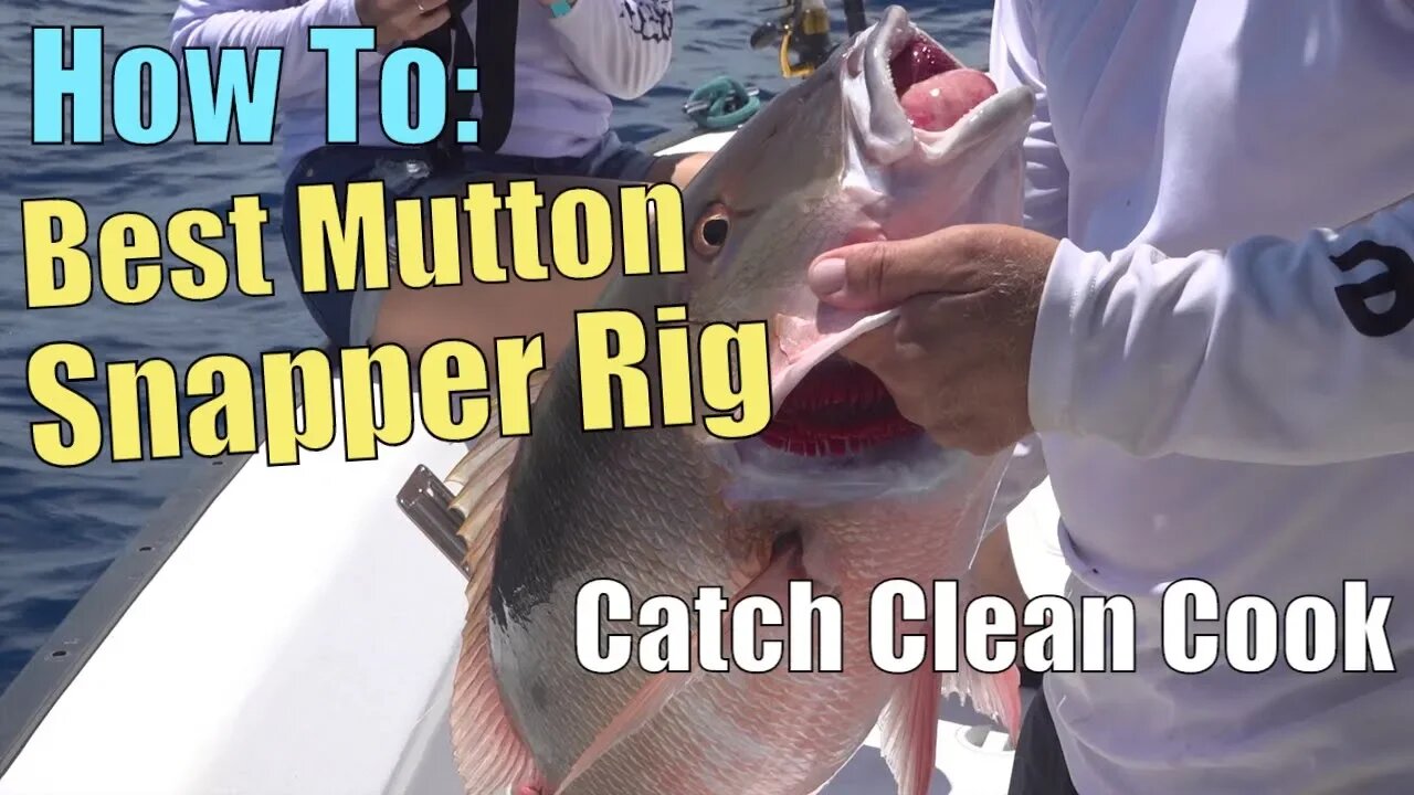 How To: Best Fishing Rig to Catch MONSTER Mutton Snapper off Key Largo