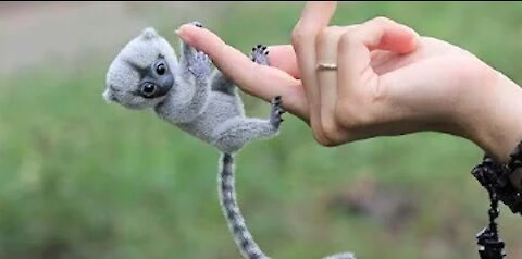 10 Cutest Exotic Animals That You Can Own as Pets