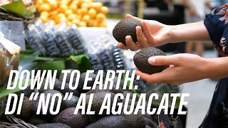 ¿Por qué es mala la moda de comer tantos aguacates?