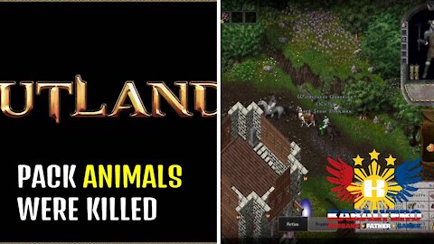UO Outlands Gameplay 2022 - My Pack Animals Killed By Hostile Avatar