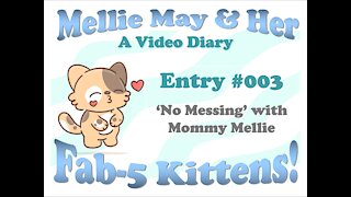 Video Diary Entry 003: No Messing (literally) With Mommy Mellie