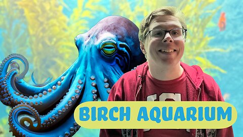 Birch Aquarium 2024