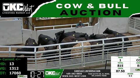 8/21/2023 - OKC West Weekly Cow & Bull Auction