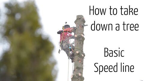 How we take down a tree #1 : Tree removal using a basic speedline