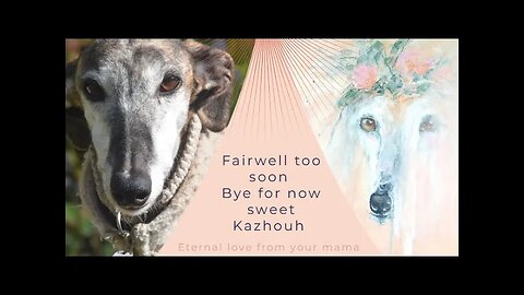 Fairwell too soon ~ bye for now sweet Kazhouh ~ eternal love from your mama