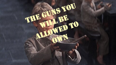 Guns the Biden's will allow.