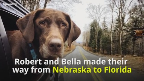 Dog With Cancer Goes On Farewell Trip