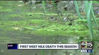 Maricopa County confirms first West Nile death this season