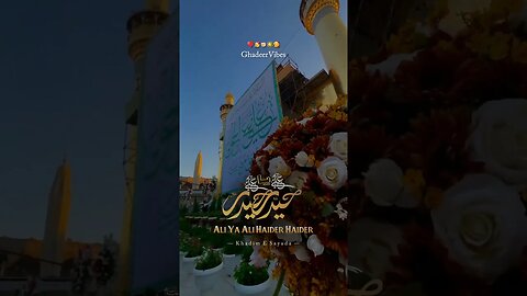 Eid E Ghadeer Mir hasan Mir #18zilhajj #eideghadeer #eideghadeerstatus #short #viral #ytshorts