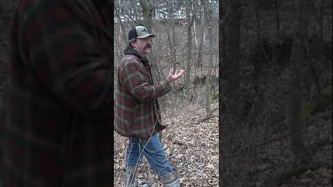 Dan Infalt on using Trail Cams to kill a BIG BUCK