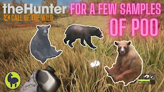 The Hunter: Call of the Wild, Trampfine- For a Few Samples of Poo