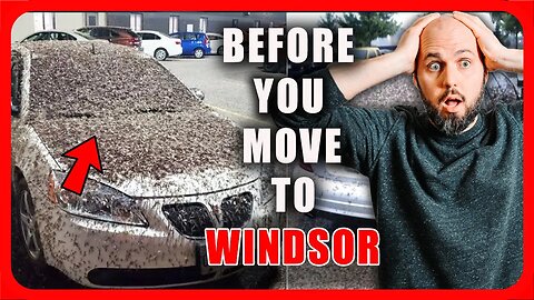 10 Things You NEED To Know Before You Move To Windsor Canada