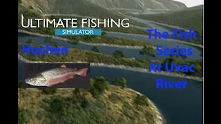Ultimate Fishing Simulator: The Fish - Uvac River - Huchen - [00035]
