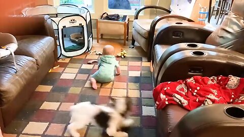 cute baby playing with cat