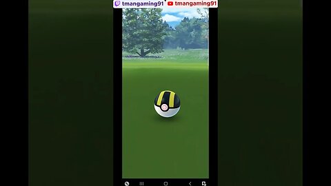 Pokémon GO-Shiny Aron
