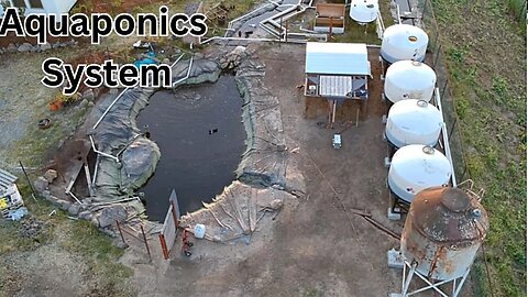 Giant aquaponics system update (100,000 aquaponics set up) #aquaponics