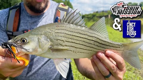 Hybrid bass SMASHED this local Ohio lure!!!