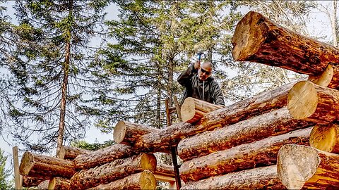 Back to work on the Log Cabin, Planting Hundreds of Trees, Shrubs and Perennials in my Food Forest