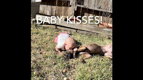 Puppy playing outside with laughing baby!