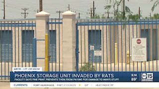 Phoenix storage unit invaded by rats