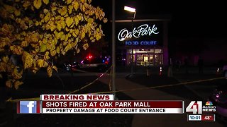 Shots fired at Oak Park Mall