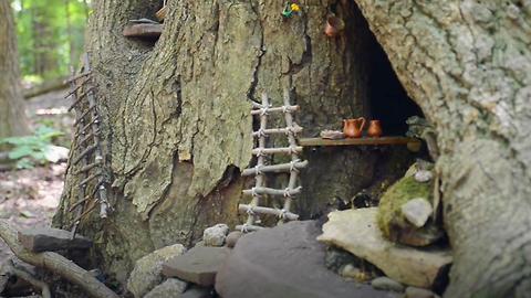 Autistic Boy And Mother Build Magical Fairy Homes