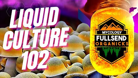 The Right way to Liquid Mushroom Culture Making!! Creating liquid culture.