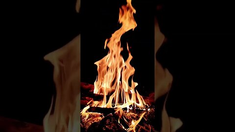 Do You Love The Sound Of A Crackling Fire? Nature's Stress Reliever For All! #shorts