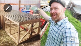 DIY Chicken Tractor Like Justin Rhodes