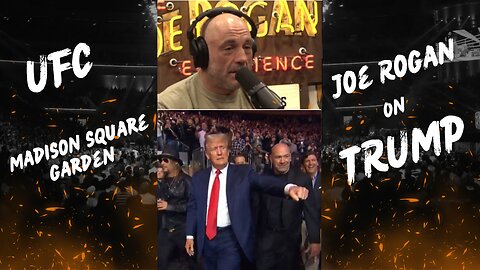 Joe Rogan on Trump at the UFC Fight at Madison Square Garden New York