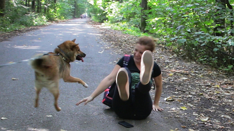 Dog overexcited to see his owner, pushes him down on the ground