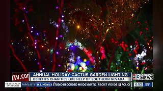 Annual Holiday Cactus Garden Lighting