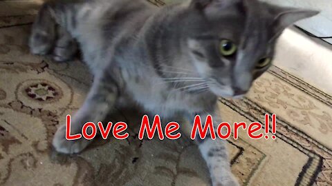 Cat-nanny - Love me More and More