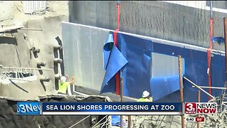 Sea Lion Shores progressing at zoo