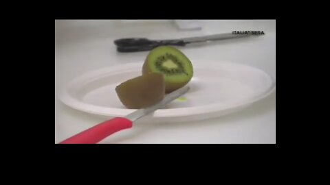 Italian scientists test a kiwi fruit for Coronavirus, it tested positive!!
