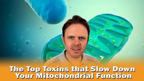 The Top Toxins that Slow Down Your Mitochondrial Function