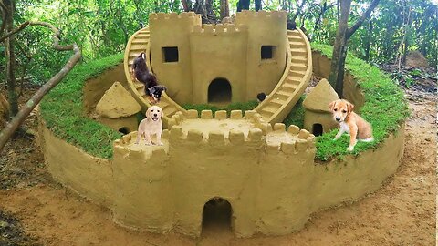 Build Great Wall around Castle Mud Dog House And Feed Abandoned Puppies