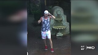 Police trying to identify two individuals from an attempted assault in Fort Myers