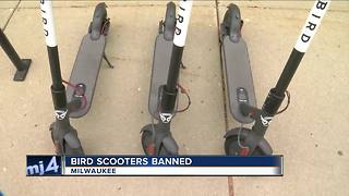 Milwaukee Common Council approves plan to seize Bird scooters