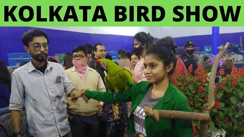 Kolkata Bird Show 2022 || bird show in kolkata 2022 || exotic bird show 2022 || bird show kolkata.