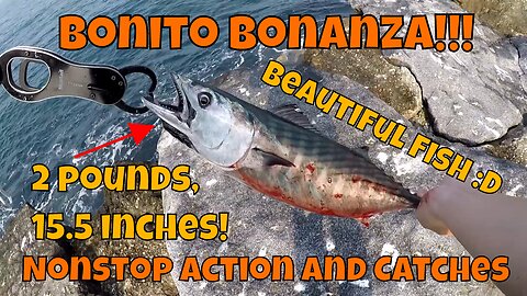 BONITO BONANZA :D!