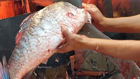 Trevally & Barracuda Fish Cutting Skills/Amazing Fish Cutting Skills/Fast &  Amazing Fish Cutting Way 