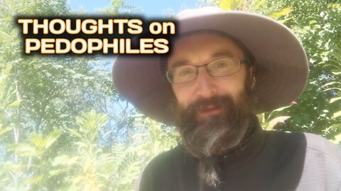 Thoughts on Pedophiles