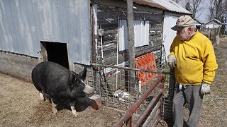 South Dakota Smithfield Meat Plant To Reopen Soon