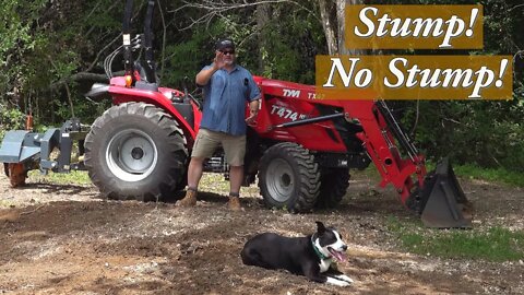 Is a Tractor Stump Grinder Fast Enough? Stump Removal