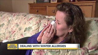 How to minimize your winter, indoor allergy symptoms