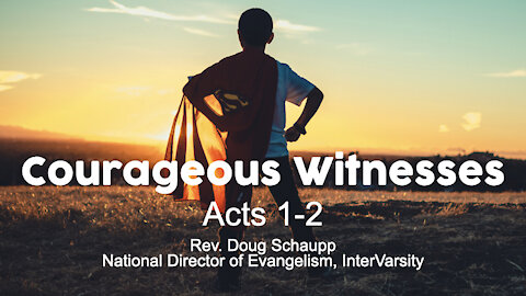 Courageous Witnesses